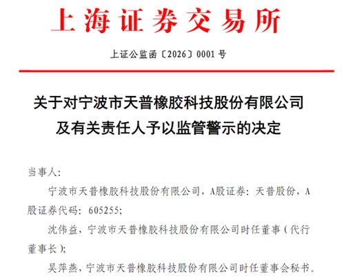 16倍大牛股狂炒AI概念“翻車”，公司回應 人工智能理論與算法軟件開發還需時間